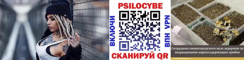 MEGA сайт  где купить наркоту  Серпухов  Псилоцибиновые грибы MAGIC MUSHROOMS 