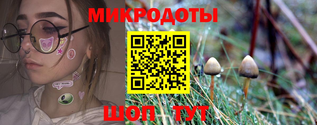 Галлюциногенные грибы прущие грибы  Псилоцибиновые грибы мицелий  Вход с VPN  Серпухов 