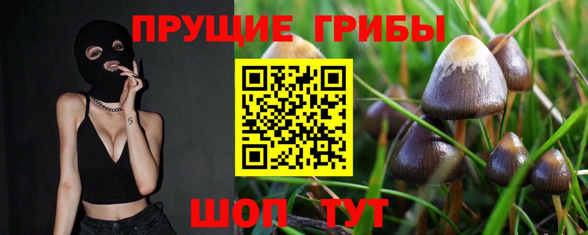 Псилоцибиновые грибы Psilocybine cubensis Серпухов